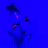 Shane Lutz - @shaneycandycoated93 - TikTok