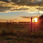 Shane Mackey - @silverpintobean - Instagram