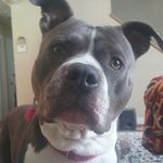 Shane Maiden - @shane.maiden.585 - Instagram