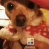 shanemaiden1 - @shanemaiden1 - TikTok