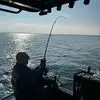 Shane Malcolm - @shane.malcolm1 - TikTok