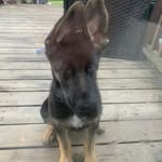 Shane Malcolm - @shane.malcolm.524 - Instagram