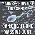 Shane - @shane_malcolm_1983 - Instagram