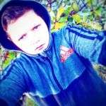 shane malone - @shanemalone900 - Instagram
