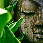Shane Malone - @_shane_malone_ - Instagram
