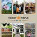 Shane Gibson-Sweet Maple Realty - Facebook