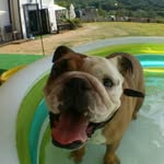 Shane Lee - @mapleworldshane - Instagram