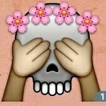 Shane Maple - @yourzingzing - Instagram