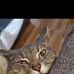 Shane Marvin - Facebook