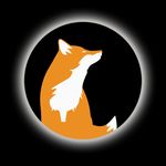 Shane Masters - @serenefoxgames - Instagram