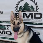 Shane Mathieu - @shane.mathieu.35 - Instagram