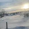 Shane McAndrew - @shane.mcandrew2 - TikTok