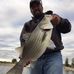 Shane McCall - Facebook
