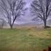 Shane Mccall - Facebook