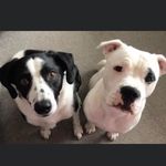 Shane McCall - @shanemccall_260 - Instagram
