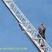 Shane McDonell - Facebook