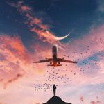 Shane McGuire - @shane.mcguire.355 - Instagram