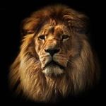 Shane McHenry - @mchenry5997 - Instagram
