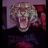 Shane McHugh01 - @shane.mchugh01 - TikTok