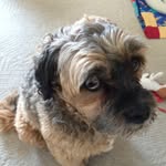 Shane Mcleod - @shane_mcleod_10 - Instagram