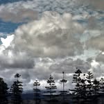 Shane McLeod - @mcleod.desu - Instagram