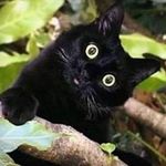 Shane Mcmanus - @hotfuzzthdt - Instagram