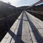 Shane McMullen - @mcmonkey15 - Instagram
