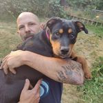 Shane McMurray - @shane.mcmurray - Instagram