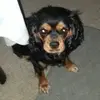 Shane McNamara - @shane.mcnamara56 - TikTok
