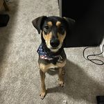 Shane L Means - @slmeans03_ - Instagram