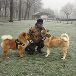 Shane Mears - @shane.mears.186 - Instagram