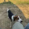 Shawn Medlin - @shawn.medlin1 - TikTok