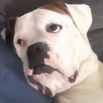 Shane Melton - @shanemelton47 - Instagram