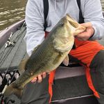 Shane Melton - @shanemeltonfishing - Instagram