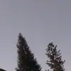 shane melton - @shane_melton4 - TikTok