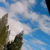 shane Melton - @shanemelton22 - TikTok