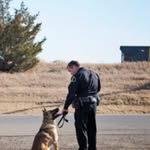 Shane Mentzer - @shane.mentzer.50 - Instagram