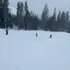 miley shane - @miley.shane3 - TikTok
