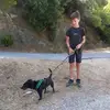 Shane Moody - @shanemoody2 - TikTok