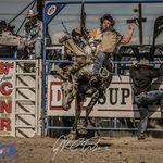 Shane Morin - @rowelinoutleather - Instagram