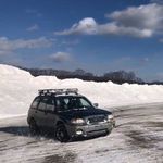 Shane Morin - @sallysubie - Instagram