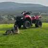 Shaun Mulhern - @shaun.mulhern - TikTok
