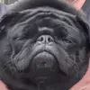 Shane Mullen579 - @shanemullen579 - TikTok