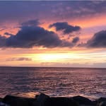 Shane Mullen - @mullen.shane - Instagram