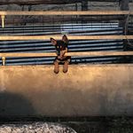 Shane Muller - @mullerfella - Instagram