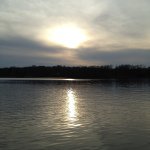 @shane_muse - Instagram