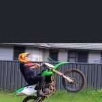 Shane Napper - @shano.napper - Instagram