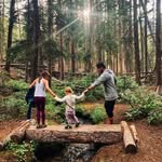 Shane Nay - @shanesaw12 - Instagram