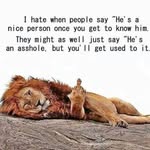 Shane Needham - @shane.needham.7 - Instagram