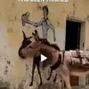 Shane Newcomb - @shane.newcomb - TikTok